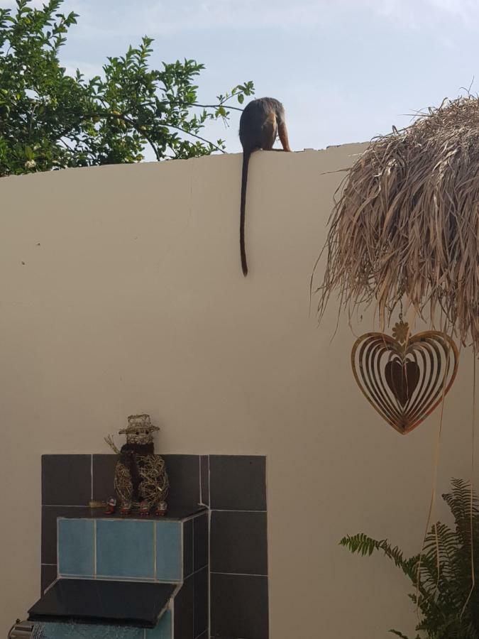 Mandinka Lodge Kololi Exteriér fotografie